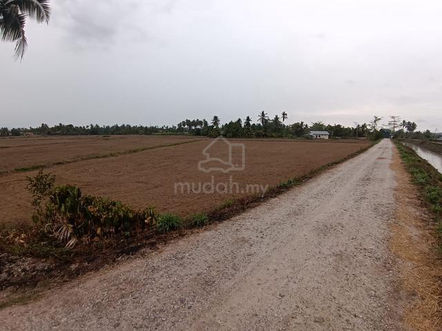 Tanah Kota Kuala Muda Untuk Dijual 1