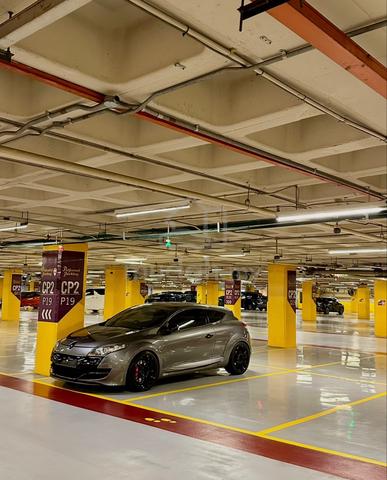 2011/2012 Renault MEGANE 2.0 RS250 GT CUP Edition - 1