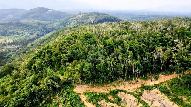 Tanah Di Beluru Kuala Kangsar Geran Individu 1