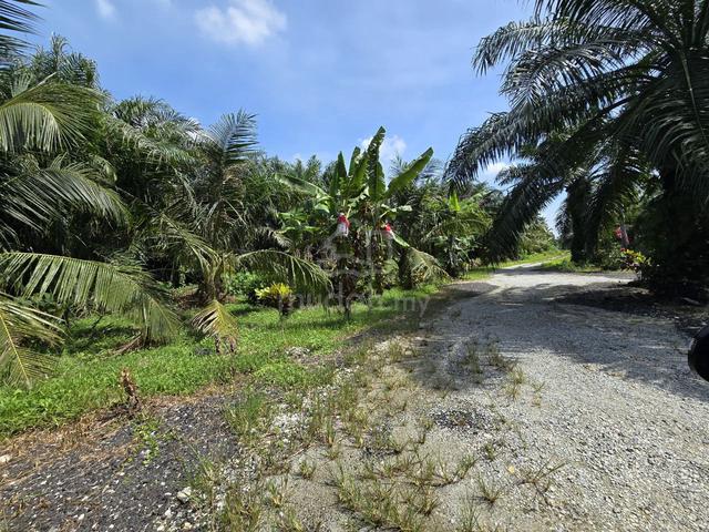 Agricultural Land 1 Acre Jalan Kapar Klang 1