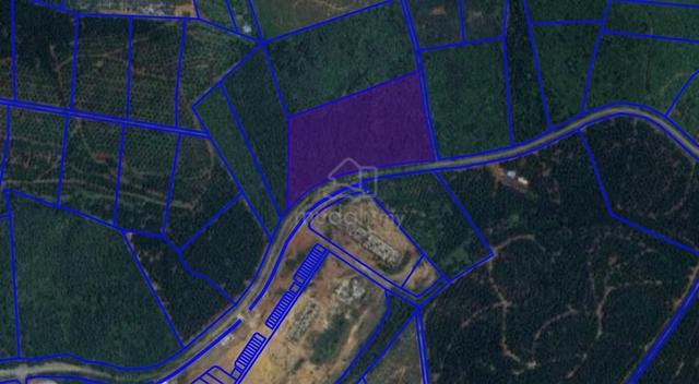 Melaka Durian Tunggal FREEHOLD Development Land Main Road Frontage 1