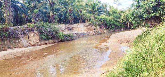 Tanah dekat sungai Guntong Setiu Terengganu 1