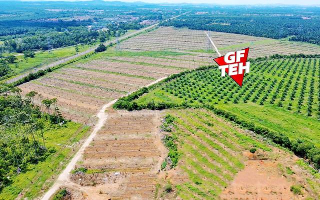 98.95 acre Residential Land Agricultural Land Bedong Kuala Muda Kedah 1
