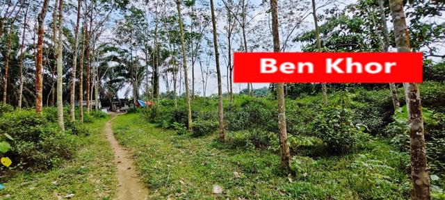 Agricultural Land | Bandar Baharu | Selama | Kedah 1