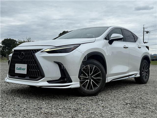 2023 Lexus NX250 2.5 BASE GRADE (A) ORIGINAL TRD - 2