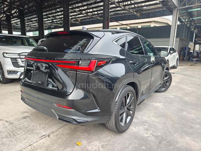 2023 Lexus NX 250 Luxury 4Cam RedLeather DIMHUD PB - 2