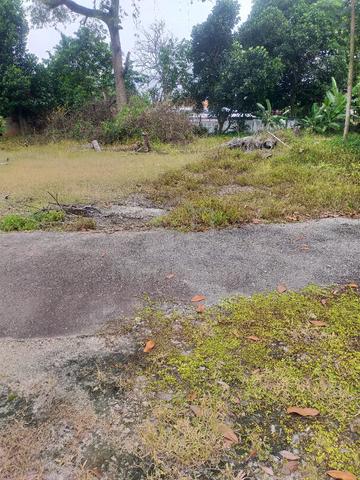 tanah lot permatang kerai pokok sena 1