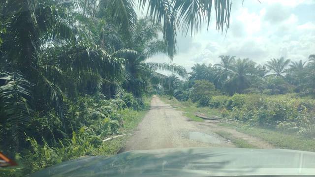 Banting Agriculture Land for Sale, Kampung Sungai Kelambu , 2