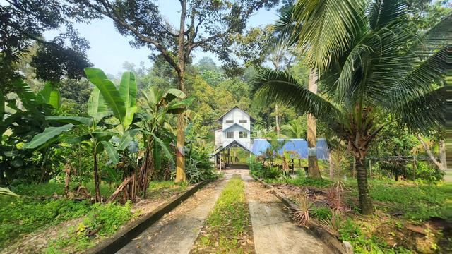 Tanah Dusun Batu 10 Gombak 1