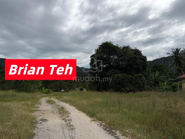Durian Farm Agricultural Land Sale at Balik Pulau 20 Acre Freehold Wit 1