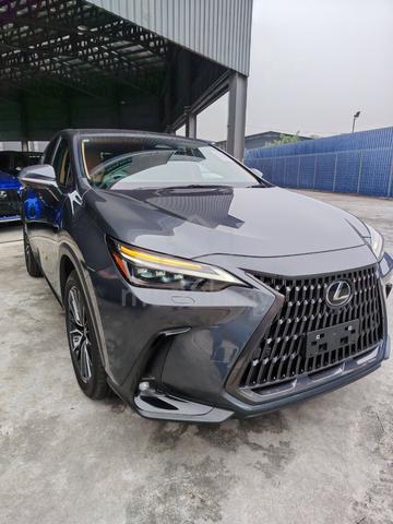 2022 Lexus NX250 2.5 LUXURY (A) - 2
