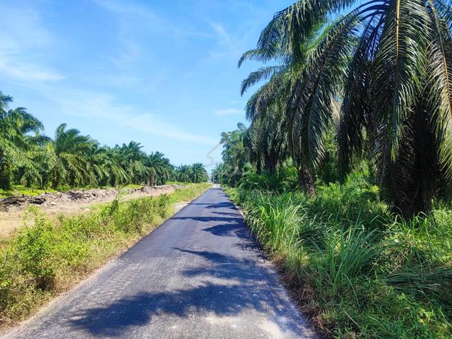 Tanah agri kelapa sawit 5.28 ekar Jeram kuala selangor 3