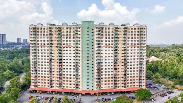 Desaminium Rimba 1