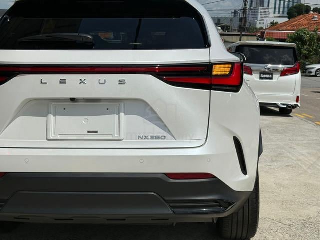 * RED Interior, Sunroof✨ 2023 Lexus NX 250 LUXURY - 5