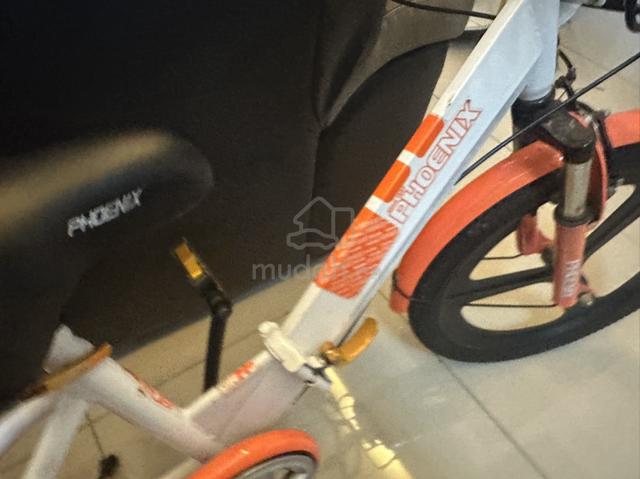 Carousel Image