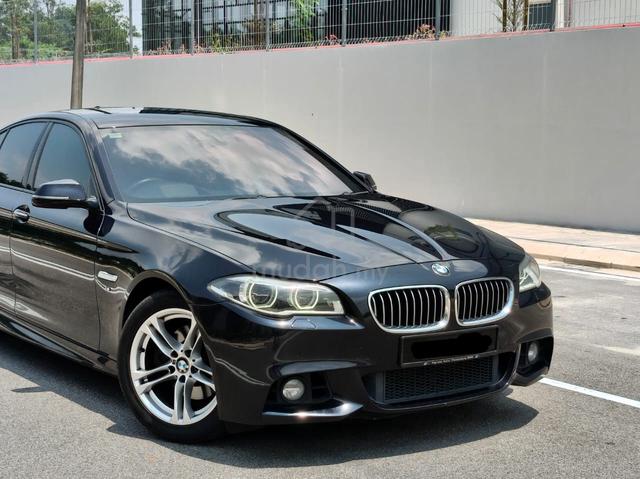 [2014] BMW 528i 2.0 M-Sport (AT) Twin Turbo N20 - 5