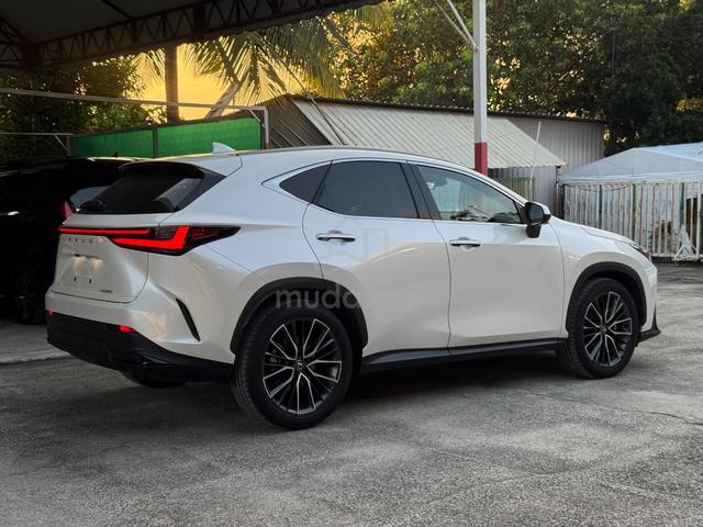 2023 Lexus NX250 2.5 VERSION L BROWN LEATHER 5A - 4