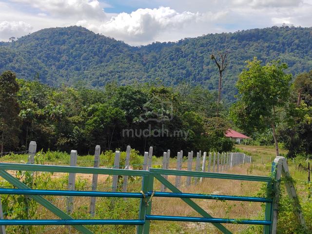 Tanah lot banglo mukim Labu untuk dijual 1