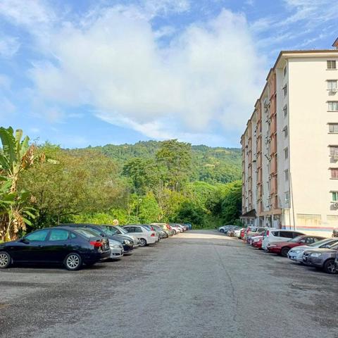 Taman Bukit Jambul 1