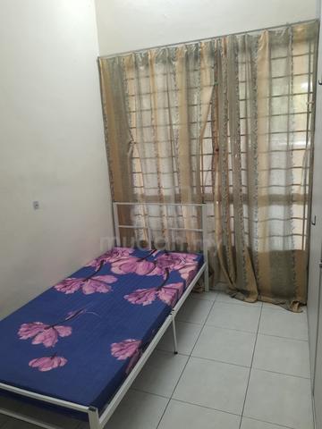 Penyewa lelaki bilik ke 5 diperlukan 1