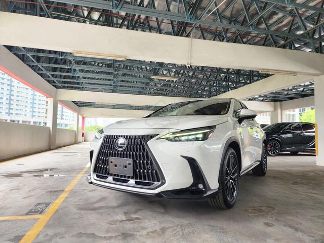 2023 Lexus NX250 2.5 VERSION-L (A) GRADE 4.5B - 5