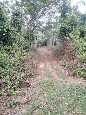 Tanah untuk dijual di lengong ulu,rembau negeri sembilan 1