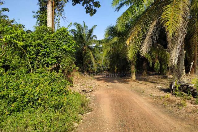 1 Ekar Tanah Kosong Kg Tungku Tiga Segamat Johor 1