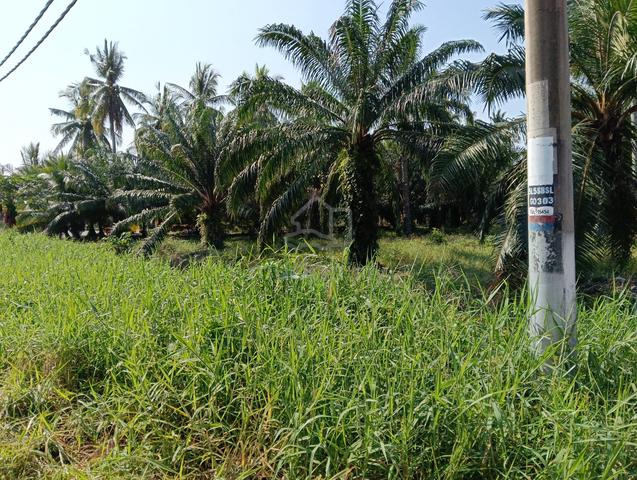 Sabak Bernam Corner Land 1