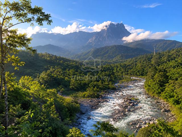 8-Acre Land For Sale, Kota Belud 1