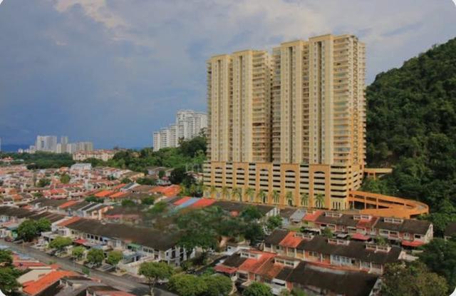 Greenlane Park Room for Rent  1