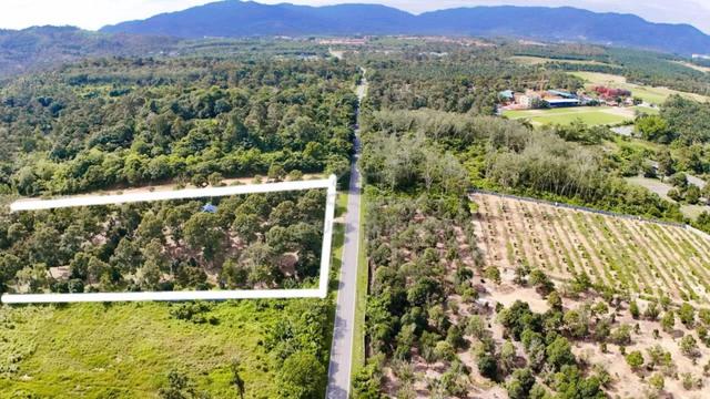 Tanah Dusun Durian mainroad freehold 9 Ekar Mantin Negeri Sembilan 1