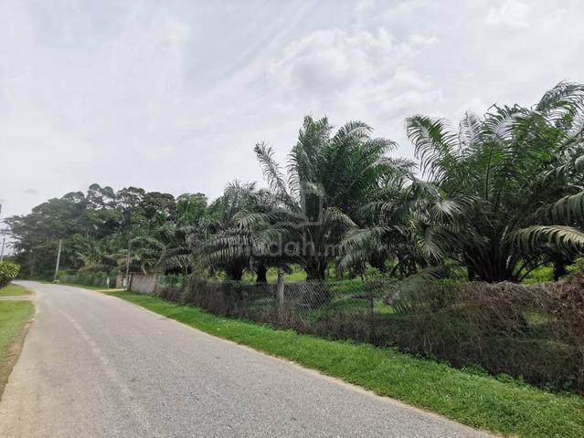 7.745acres Zone Residential Freehold Land Mainroad Bemban Melaka 1