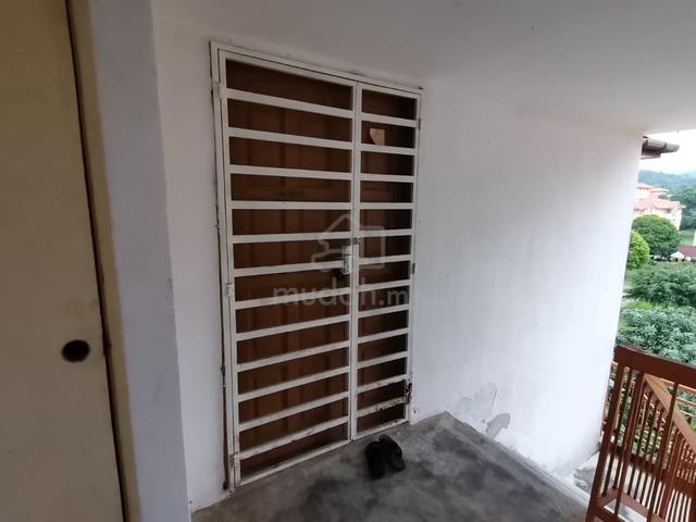 Damiana Apartment 1
