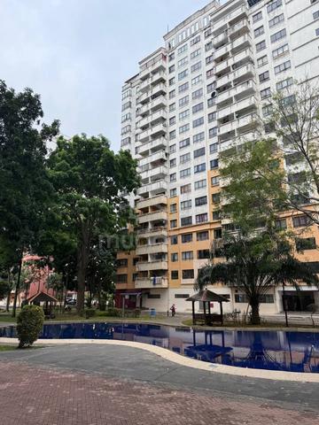 Vista Millennium Condominiums 1