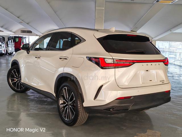 2023 Lexus NX250 2.5 BEIGE INTERIOR N 360 CAMS HUD - 2