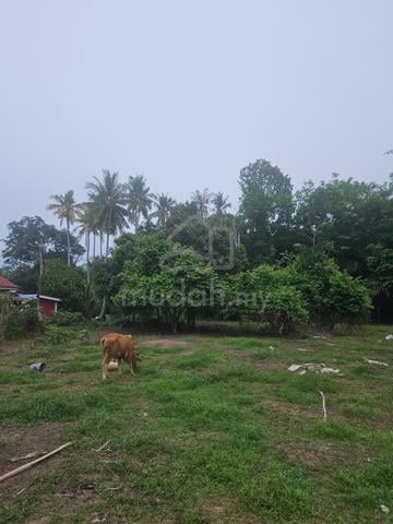Tanah untuk dijual di Parit Perupok Muar (Berhadapan dengan Mahkamah ) 1