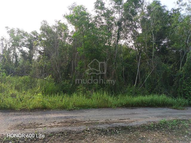 Tanah untuk dijual di PENDANG, KEDAH ( NEGO) 1