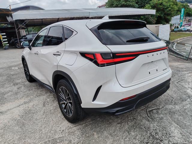 2023 Lexus NX 250 2.5 BASE 3LED 360 Camera 4.5B - 4