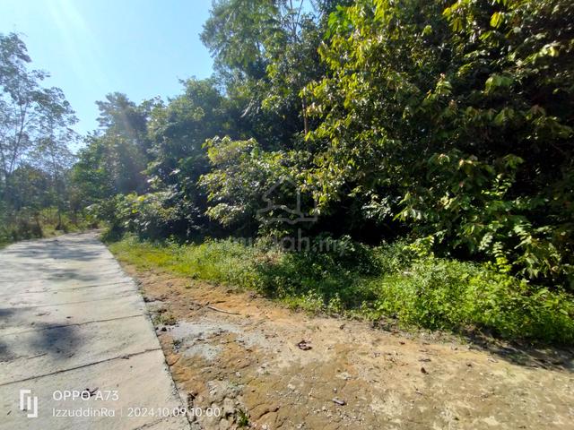 2 Ekar Rata Landai Lenggeng (KERETA+SESUAI KEBUN DUSUN+INFRA SENANG) 2