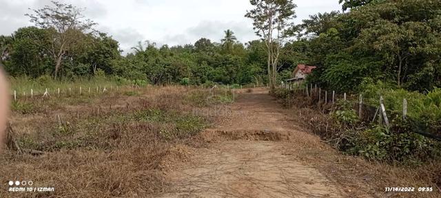 Tanah Tapak Rumah Di Jeneri Sik 3