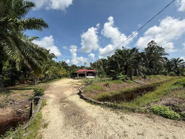 Kebun 4.2 Ekar dan Rumah untuk Dijual 1