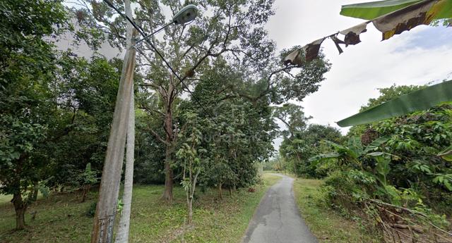 DUSUN TERNAKAN & DURIAN land for lease 3