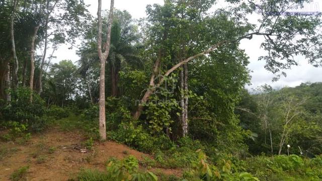 134 Tanah Pertanian Kuala Kangsar Untuk Dijual 1