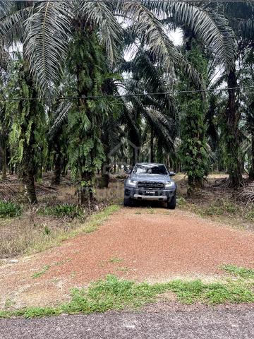 Tanah Pertanian 2.3 Ekar Parit Yaani Batu Pahat Yong Peng 4