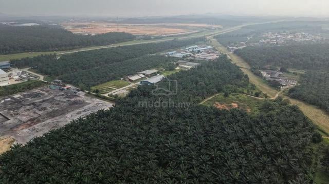 For sale Agricultural Land 42.38 Acres @Jln Sengkang, Kulai 1