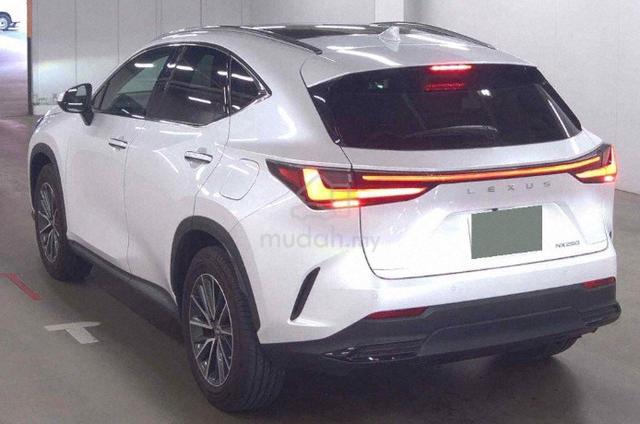 2023 Lexus NX250 2.5 BASE GRADE (A) - 2