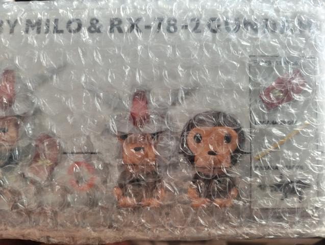 Carousel Image