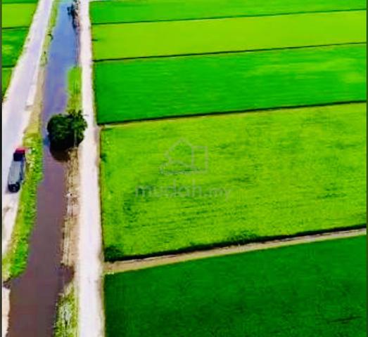 Tanah Sawah 3 Ekar di Sekinchan Selangor 1