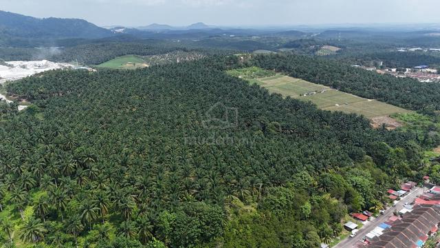 Kulai 20 Acre Medium Industrial Land Freehold 1