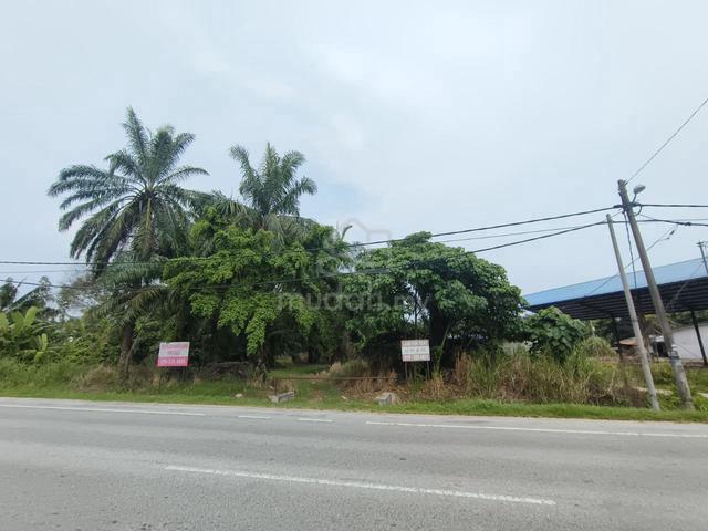 Selangor Kuala Langat Morib / Kelanang 3.11 acres Agri Land (Oil Palm) 1